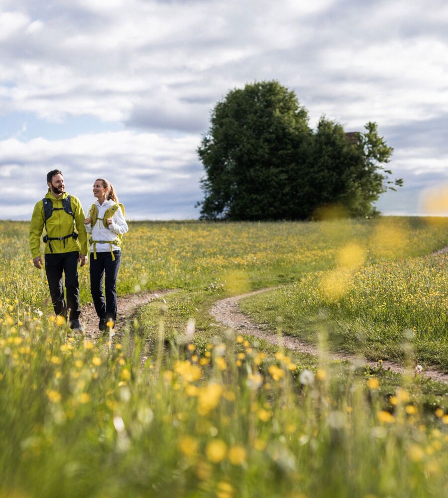 Wandern im Frühling